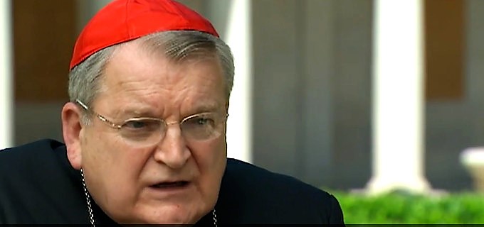 Cardenal Burke: los políticos católicos que apoyan el aborto y la ideología de genéro cometen sacrilegio si comulgan