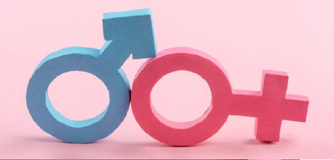 La agenda de gnero: cmo el movimiento LGBT est secuestrando los derechos de las mujeres