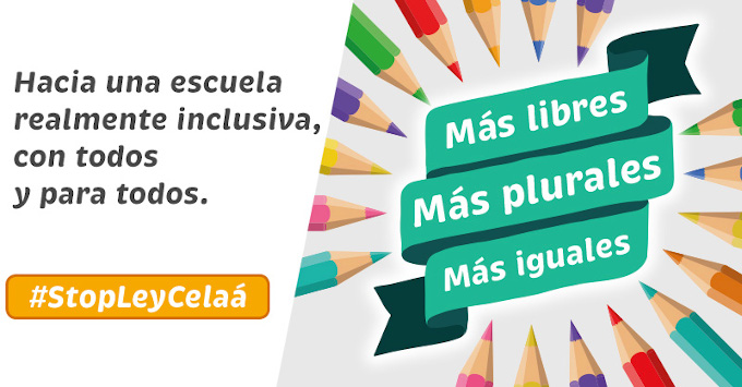 Nace Ms Plurales, plataforma en defensa de la pluralidad educativa