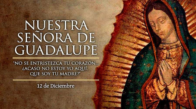 El Papa concede indulgencia plenaria a quien celebre desde casa a la Virgen de Guadalupe