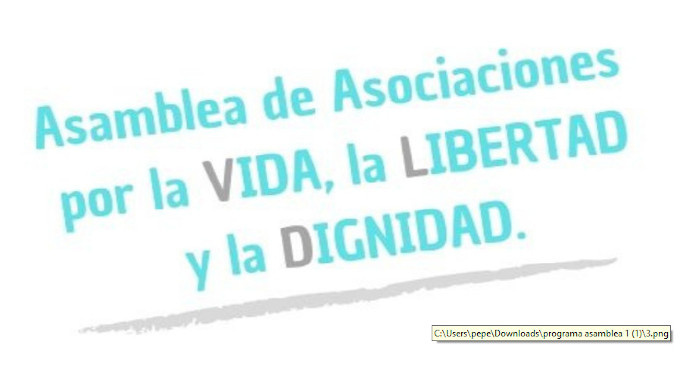 El viernes se constituye en España la Asamblea por la Vida, la Libertad y la Dignidad