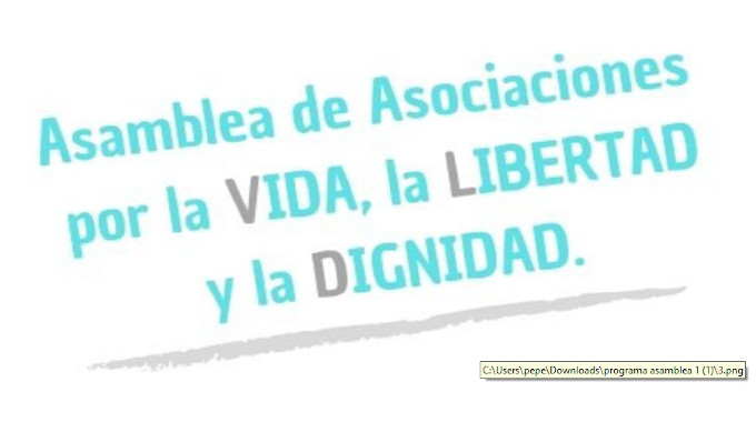 El viernes se constituye en Espaa la Asamblea por la Vida, la Libertad y la Dignidad