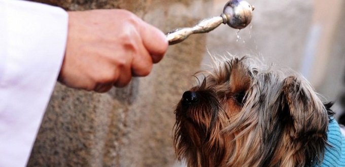 Suspendida la tradicional bendicin a los animales en el da de San Antn