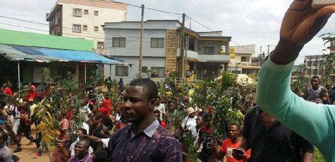 Camerún: Ataque terrorista mata a 14 personas