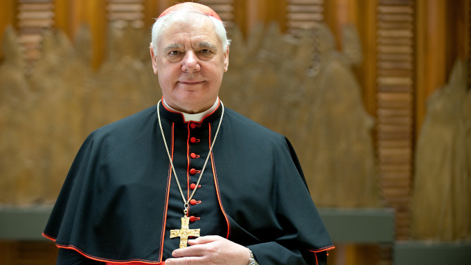 Cardenal Müller: «Estamos presenciando la negación herética de la fe catolica»