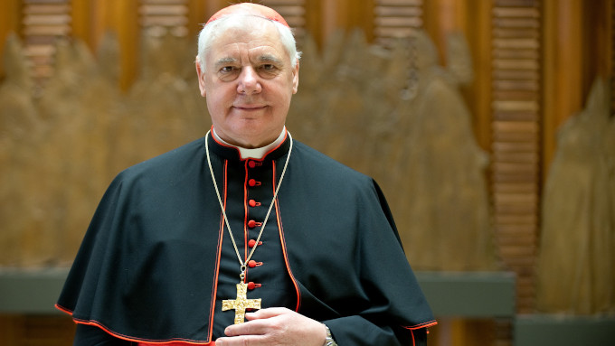 Cardenal Mller: Estamos presenciando la negacin hertica de la fe catolica