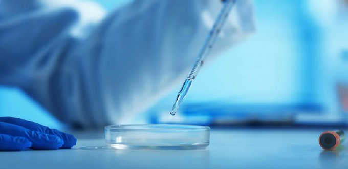 Francia adopta una ley de bioética que introducirá quimeras, ingeniería genética de «material humano»