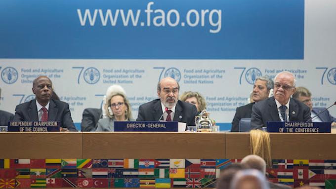 El Papa a la FAO: «el factor fundamental para recuperarse de la crisis que nos fustiga es una economía a medida del hombre»