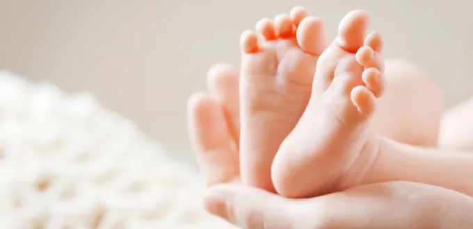 En Gibraltar se realizará referéndum para legalizar el aborto En Gibraltar se realizará referéndum para legalizar el aborto