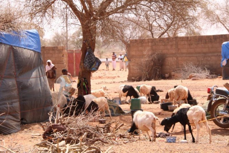 El yihadismo ataca 2 ciudades de Níger: profanan el Santísimo y queman la iglesia