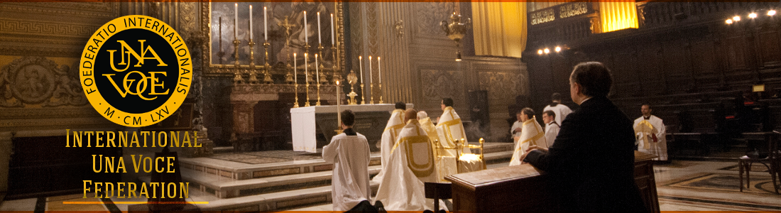 Declaracin Oficial de la Federacin Internacional Una Voce sobre el Motu Proprio Traditionis Custodes