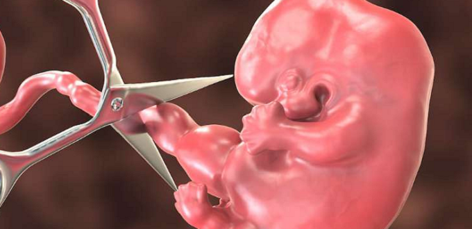 La Iglesia india lamenta el pecado del aborto con un da especial