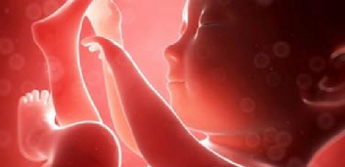 La ciudad número 40 prohíbe el aborto, se declara a sí misma un «santuario para los no nacidos»