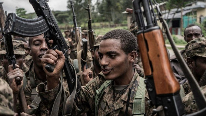 El mundo mira para otro lado mientras a la regin etope de Tigray llegan armas en vez de comida