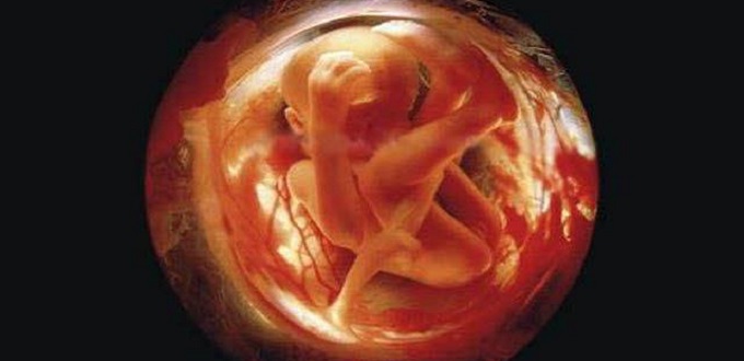 Si más mujeres vieran ecografías de su bebé, más mujeres rechazarían el aborto