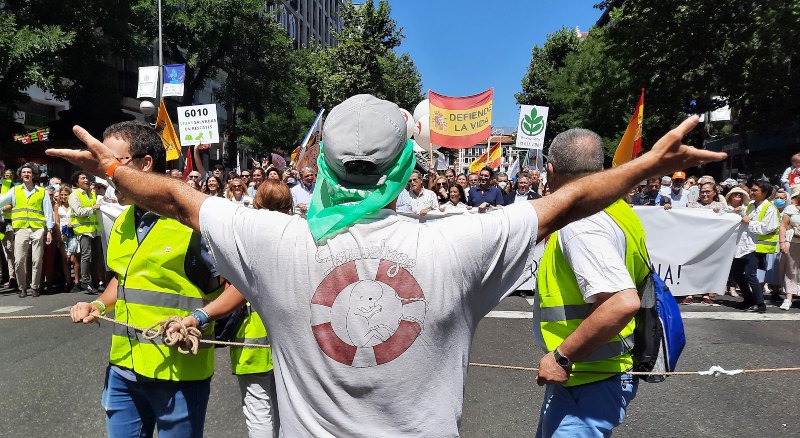 Manifestacin provida Madrid, Nos jugamos la vida - Jess Poveda