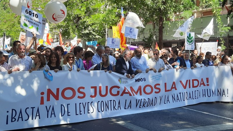 Manifestación provida Madrid, «Nos jugamos la vida»