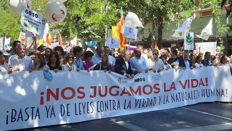 Manifestacin provida Madrid, Nos jugamos la vida