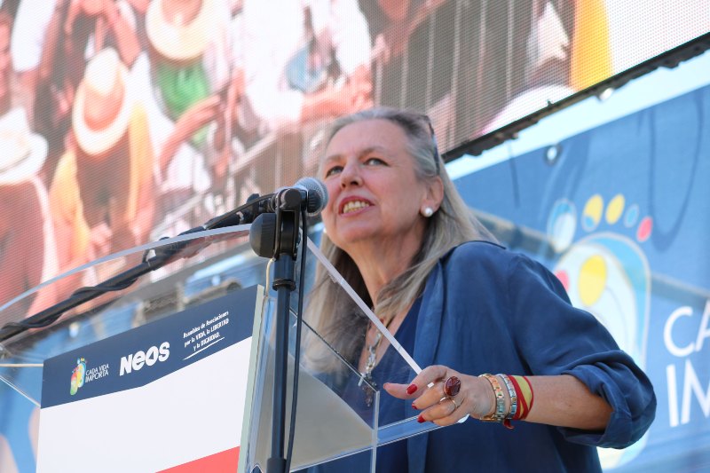 Manifestación provida Madrid, «Nos jugamos la vida» - Carmen Fernández de la Cigoña