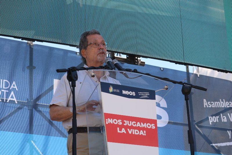 Manifestacin provida Madrid, Nos jugamos la vida - Mir y Ardevoll