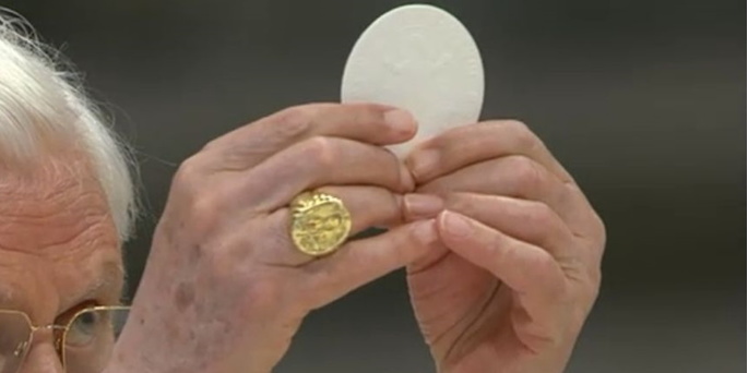 Benedicto XVI particip ayer en la celebracin de la Santa Misa en su habitacin