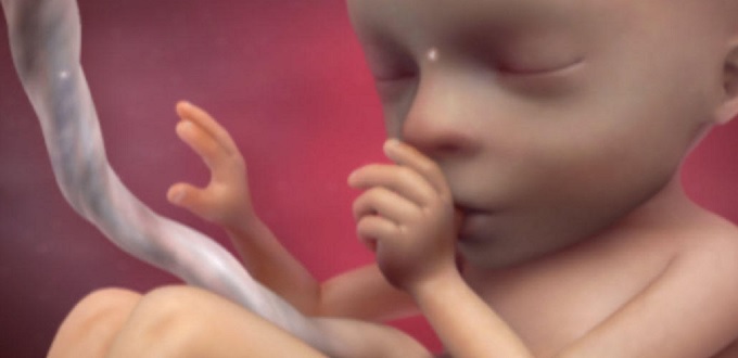 Un premiado documental revela los dilemas de los análisis de sangre prenatales