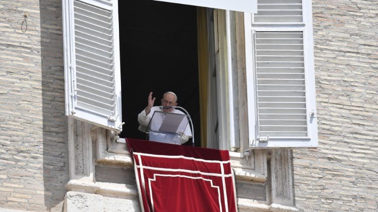 Francisco: Estamos llamados a sembrar sin cansarnos