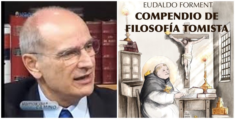 «La filosofía de Santo Tomás nutre y vivifica al alma» «La filosofía de Santo Tomás nutre y vivifica al alma»