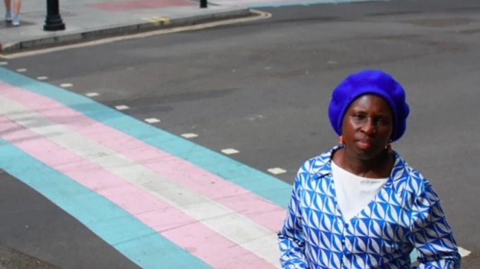Una ciudadana denuncia a un distrito londinense por pintar un paso de cebra con la bandera trans Una ciudadana denuncia a un distrito londinense por pintar un paso de cebra con la bandera trans