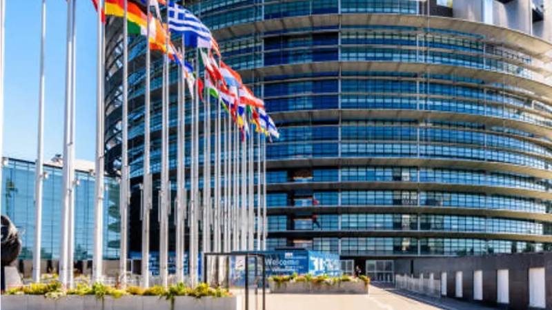 El aborto busca introducirse en la legislacin europea a travs de una directiva sobre violencia de gnero