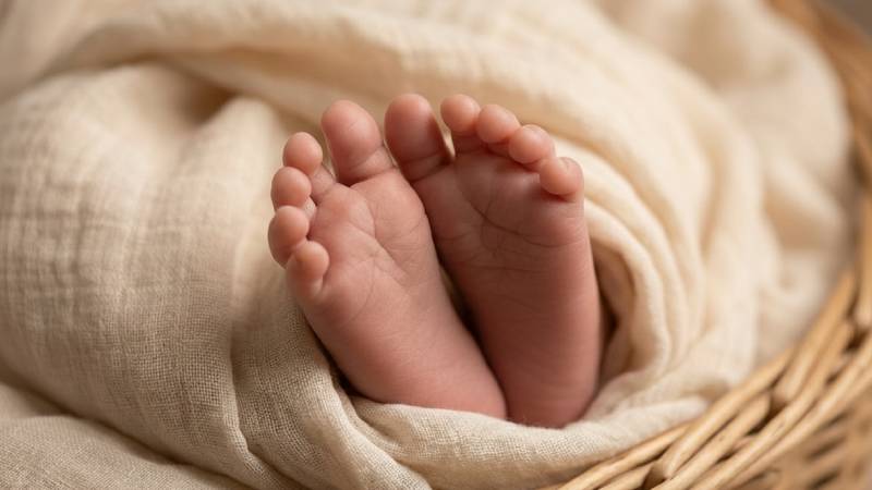 L�deres provida rechazan la petici�n de Trump de �flexibilidad� en financiaci�n de abortos