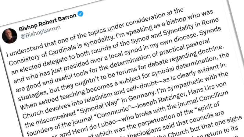 El obispo Barron advierte contra la �sinodalidad� permanente en v�speras del Consistorio de Cardenales