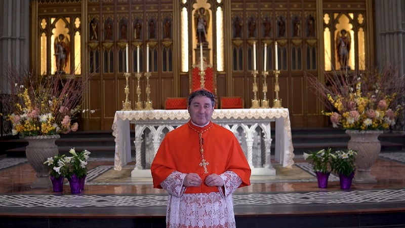 El cardenal Leo lanza la campa�a Help Not Harm y exige al Gobierno: �Construyan una civilizaci�n que cuide a los que sufren, no que los elimine�