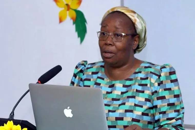 La �nica africana del grupo sinodal sobre homosexualidad no particip� en la redacci�n del texto