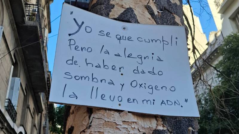 Perd�n de Dios, bajo un �rbol seco, en porte�a calle