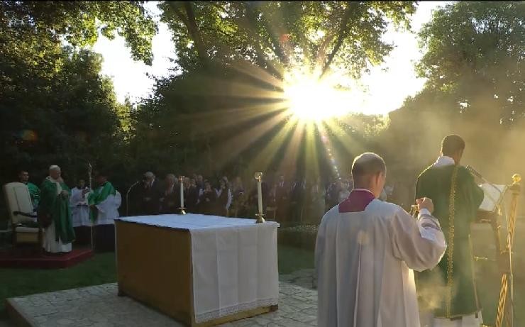Le�n XIV celebra la Misa por el Cuidado de la Creaci�n