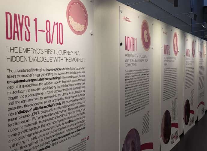 La Euroc�mara mantiene la exposici�n sobre el no nacido pese a la petici�n de retirada de la izquierda