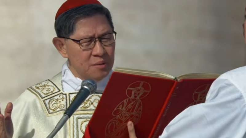 Castidad en el noviazgo y apertura a la vida en el matrimonio, Le�n XIV en el aniversario de Amoris laetitia