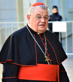 Cardenal Dominik Duka